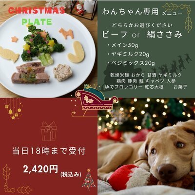愛犬と過ごすクリスマスに「Xmasわんちゃんプレート