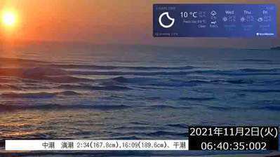 本日11 2 阪神タイガース記念日 明日 ゴジラの日 青島グランドホテル