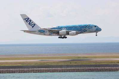 フライングホヌ」です。 | コンドミニアムホテル モンパ