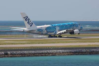 フライングホヌ」です。 | コンドミニアムホテル モンパ