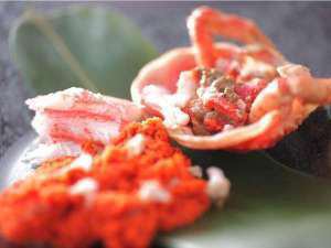 カニシーズンに人気のメス蟹 コッペ蟹 １日８組限定 間人蟹と地魚料理 大人の絶景隠れ宿 寿海亭