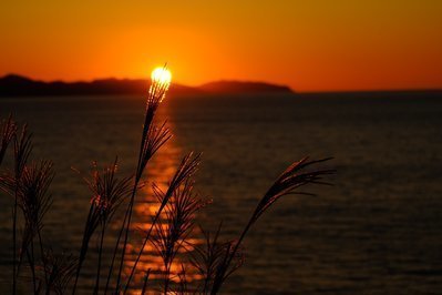 夕映えの空とすすき – フリー（無料）写真素材 ダウンロード