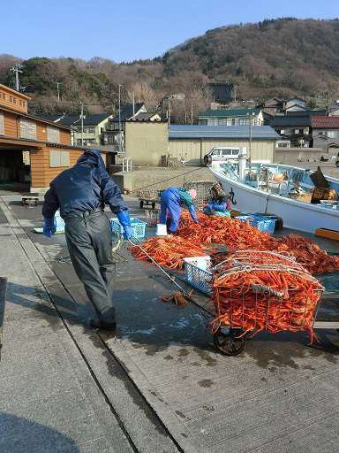 海の町、糸魚川クイズ！漁港はいくつあるでしょう？ | 奥白馬温泉 国富