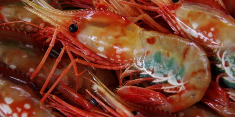 料 理 ホテル國富 くにとみ 翠泉閣