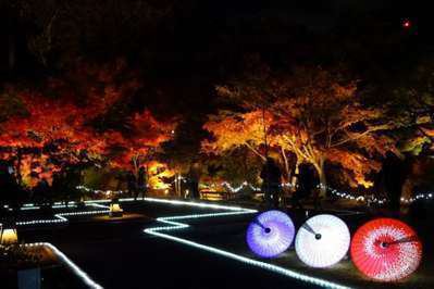 紅葉のライトアップイベント In二之丸史跡庭園 外湯巡りの宿 ホテル葛城 Spa Resort道後 紅葉のライトアップイベント In二之丸史跡庭園 外湯巡りの宿 ホテル葛城 Spa Resort道後