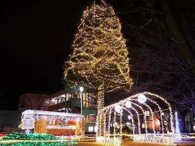 みさわクリスマスフェスティバル 野の花 焼山荘