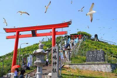 蕪島まつり 野の花 焼山荘