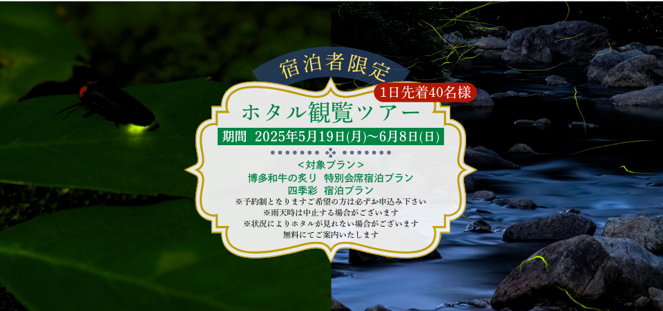 グリーンピア八女の花ショウブとアジサイ