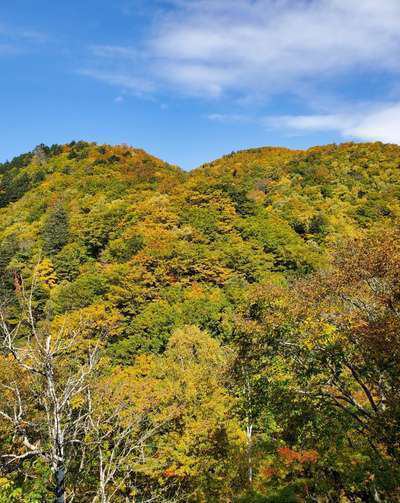 志賀高原の紅葉 志賀高原 白い温泉 渓谷の湯