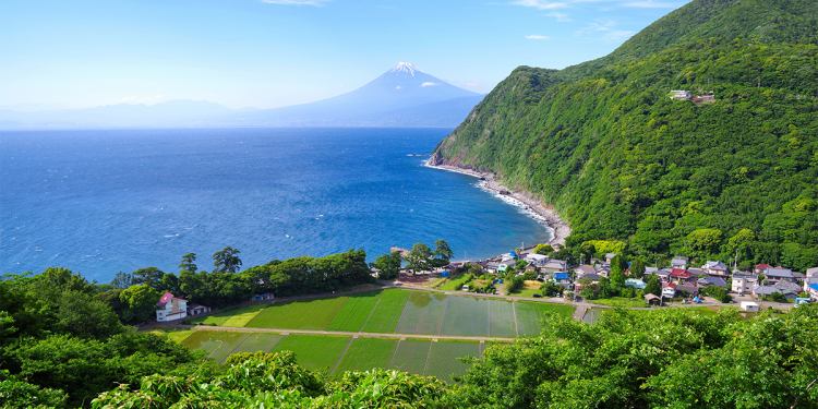 西伊豆 土肥温泉観光 土肥ふじやホテル