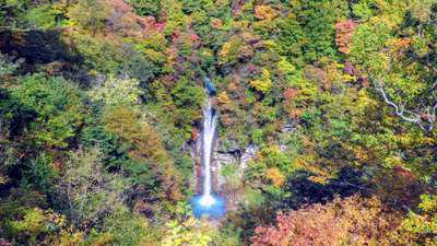 駒止の滝 色づき始めています 鉄板焼の宿 菊