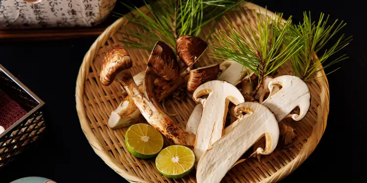 31.南信州産松茸約150g（パック込み） 南信州産松茸110g（パック込み