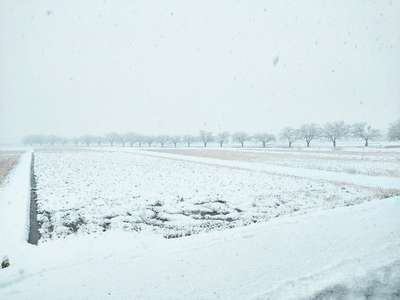 かわら亭周辺も雪が降り始めました 神の宮温泉かわら亭