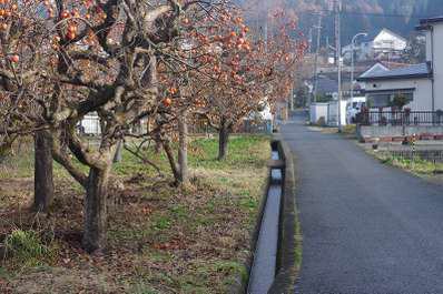 会津の冬の風物詩 ～柿のある風景～ | くつろぎ宿 新滝