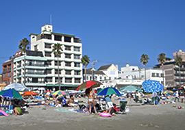 周辺観光スポット 浜辺のホテル 松濤 しょうとう