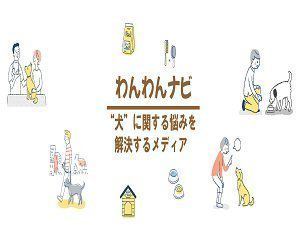 ホテル 大洗 舞 凛 館 人気 ペット