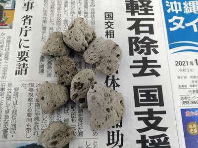 なんとなんと生軽石！！ | ココシャスモンパ