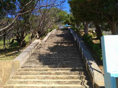 嘉数高台公園は眺めの良い公園です | ココシャスモンパ