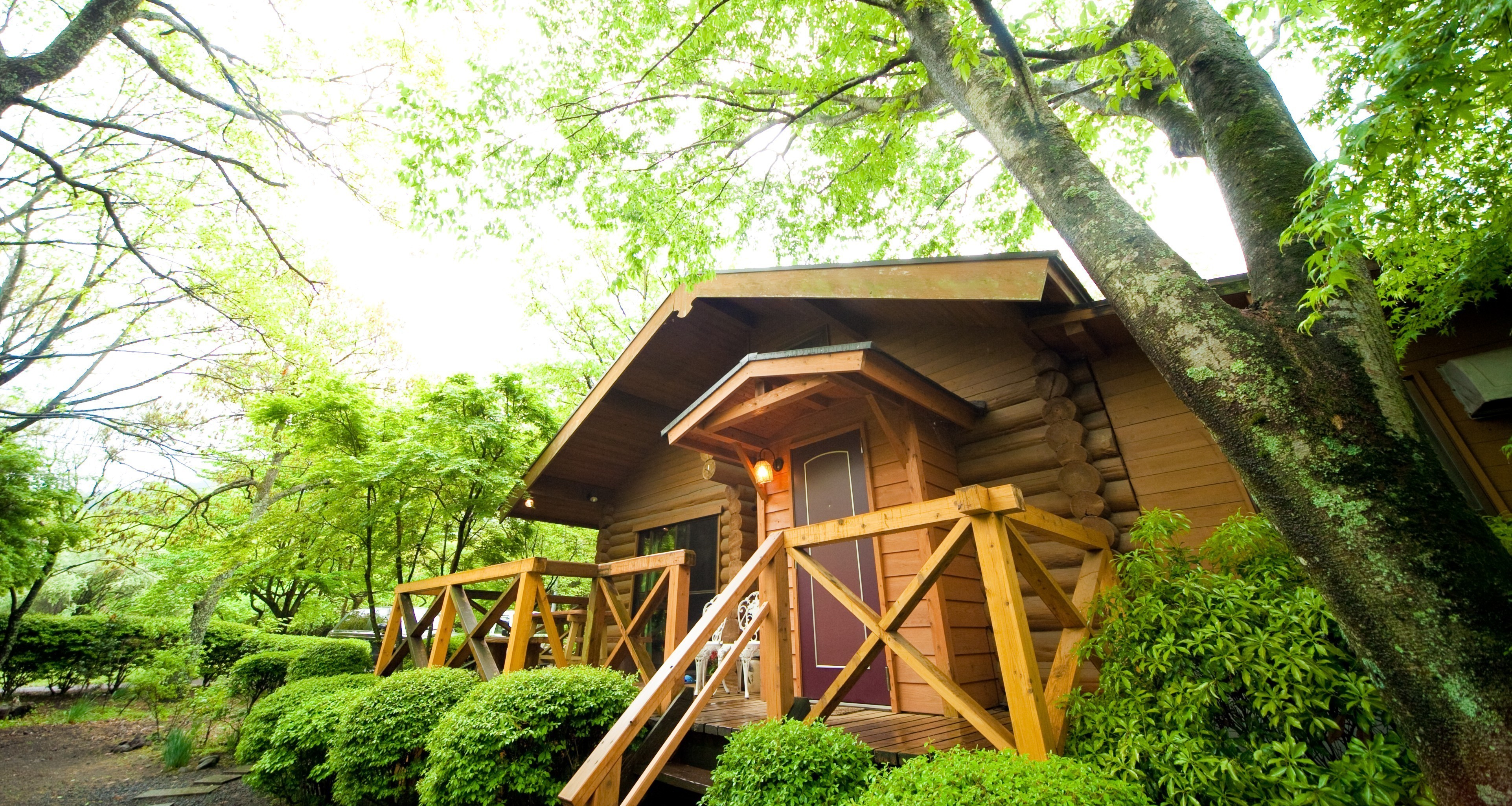 【公式】山荘 どんぐりの公式サイト画像