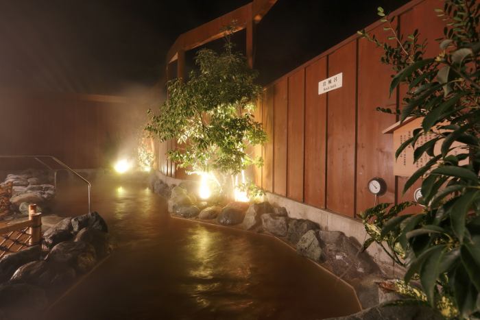 温泉 館内施設 公式 アートホテル成田 旧 成田ビューホテル