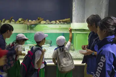 会津の海「猪苗代湖」湖水浴 ② | くつろぎ宿 千代滝
