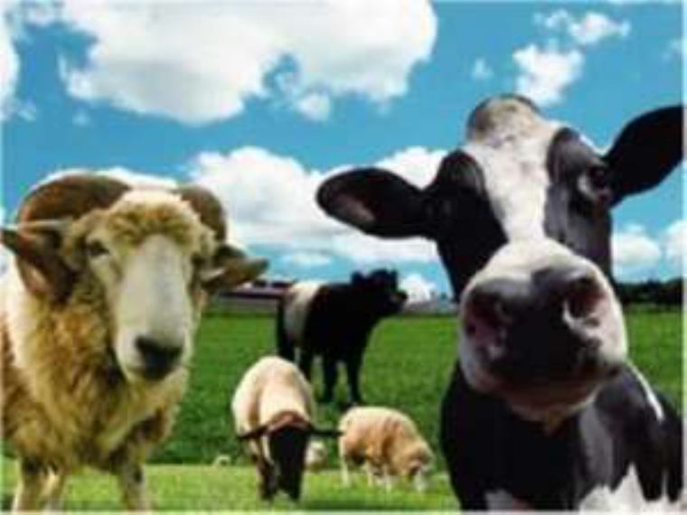 観光案内 グランドホテル太陽