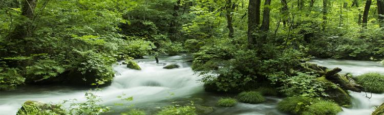 周辺観光 仙境に佇む 奥湯河原最古の宿 青巒荘 せいらんそう