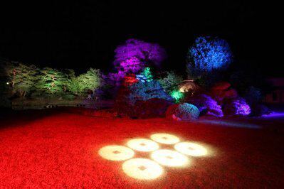 真田邸庭園ライトアップ「幻奏」 | 信州中尾山温泉 松仙閣