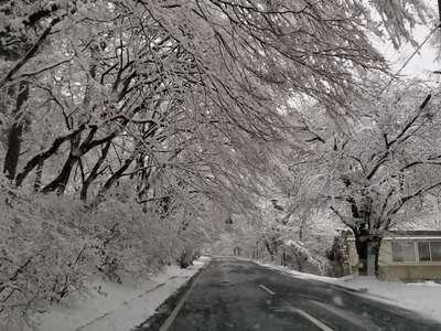 春の雪 とっても綺麗です 伊香保温泉 旅館 よろこびの宿しん喜