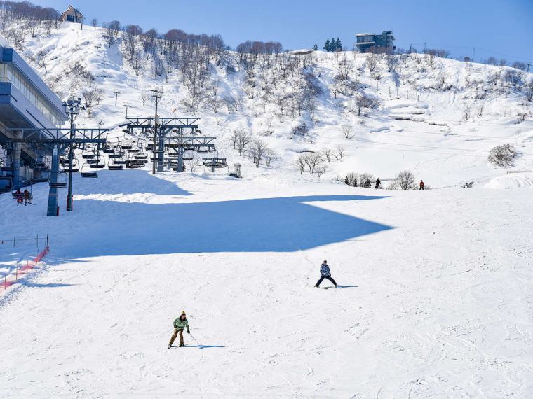 周辺情報 | スポーツプラザ白樺