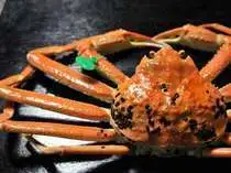 幻の蟹・間人蟹漁解禁まであと10日！ | 美食家つどう海の京料理 昭恋館