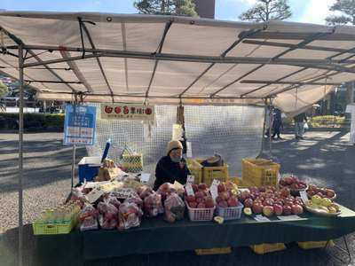 陣屋前広場の朝市のりんご農家さん スパホテルアルピナ飛騨高山 公式ホームページ