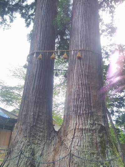 修善寺散策 楽しく生きる人生は波動 みんな魂の成長 海のぺんしょん マリンビュー