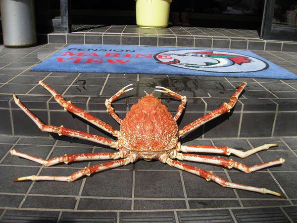 公式 海のぺんしょん マリンビュー