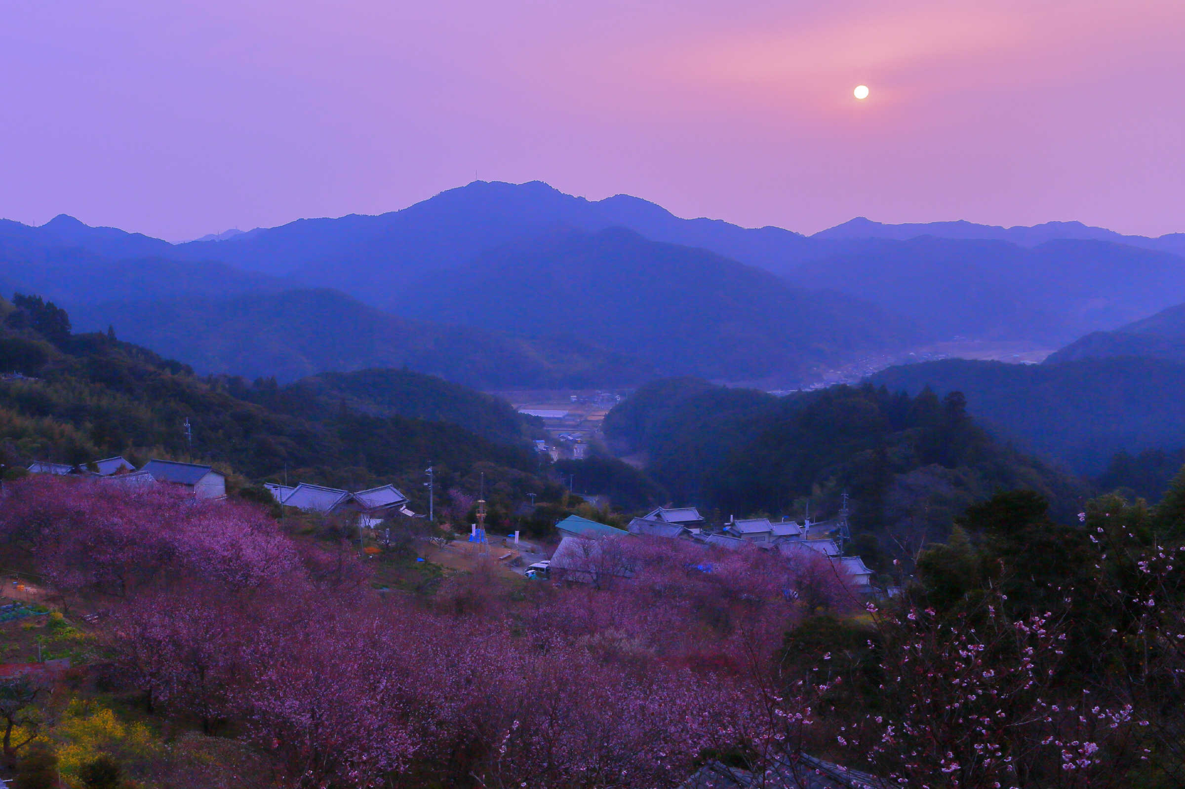 過ごし方  千年の美湯 そうだ山温泉 和 YAWARAGI