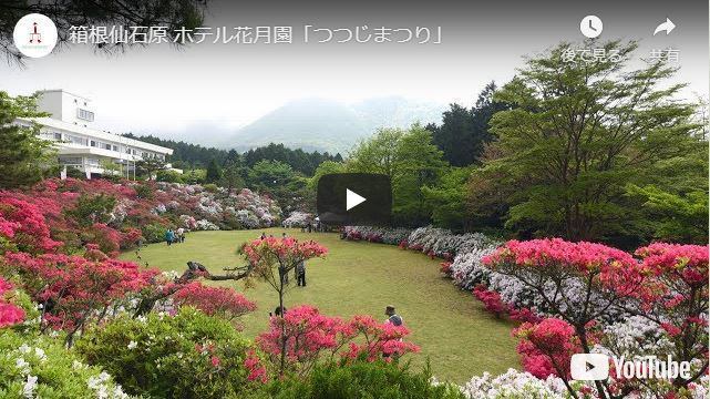 官方 花月园酒店