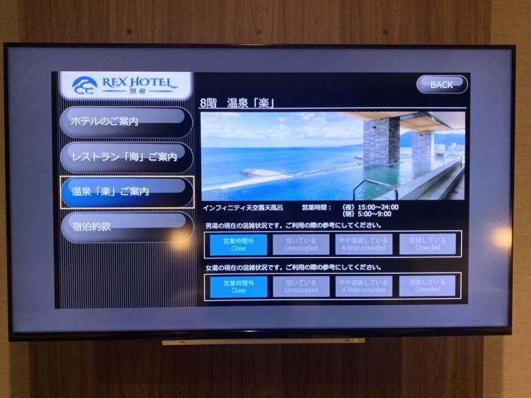 レックスホテル REXHOTEL れんげ 受け皿付き 陶器皿