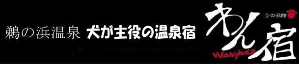 【公式】鵜の浜温泉　わん宿うの浜館 ペットと泊まれる温泉宿　