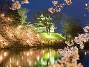 3月25日（土）高田城址公園の桜が開花しました。 | 【公式】鵜の浜温泉