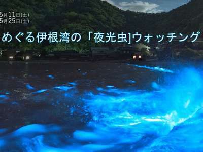 遊覧船でめぐる伊根湾「夜光虫」ウォッチング♪ | 宇川温泉よし野の里