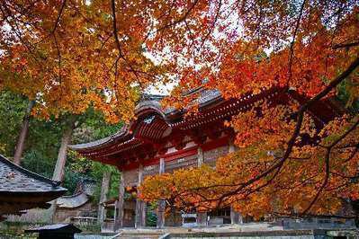 鰐淵寺 と書いて がくえんじ の紅葉 日本三美人の湯 湯元 湯の川