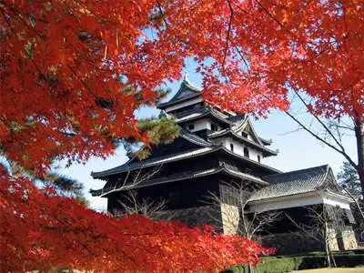 城山公園で紅葉 | 日本三美人の湯 湯元 湯の川