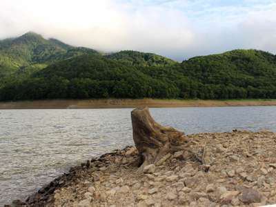 かなやま湖の水位が下がり湖底散策できます かなやま湖ログホテルラーチ