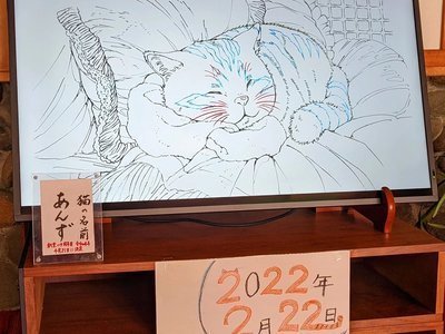 NFTアートの看板猫ちゃんお名前決定♪ | 戸倉上山田温泉 美白の湯 荻原館