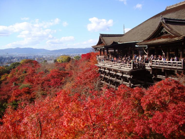 周辺観光 公式 京都堀川イン 二条城前 ホテル 二条城より徒歩5分