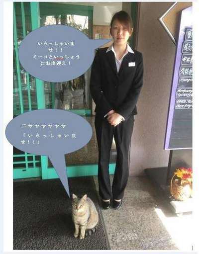 ☆*:.。.ミーコ.。.:*☆さまおまとめ