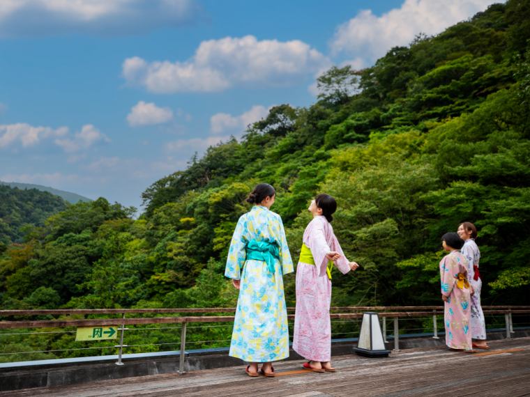 南風様 お部屋 | 箱根湯本温泉 ホテル南風荘