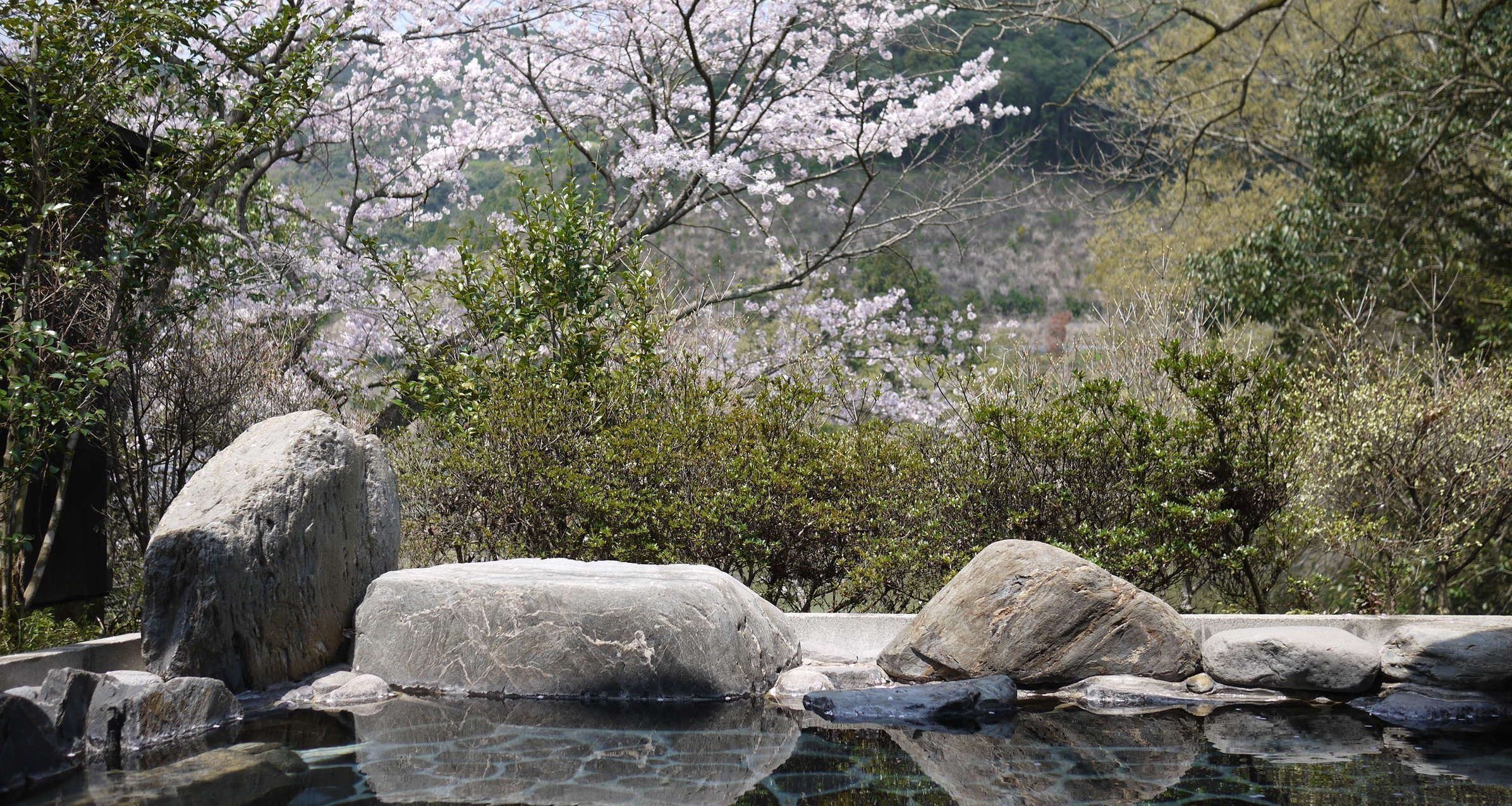旅館・家族湯 いまむら