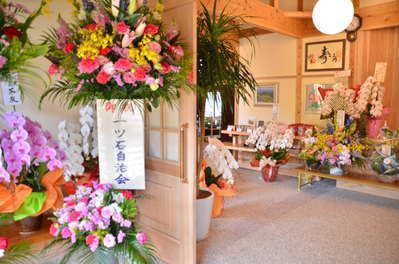 ２０２０年４月１日 プレオープン そのぎ茶温泉里山の湯宿 つわぶきの花