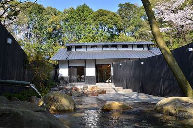 今日の露天風呂の様子 そのぎ茶温泉里山の湯宿 つわぶきの花 今日の露天風呂の様子 そのぎ茶温泉里山の湯宿 つわぶきの花